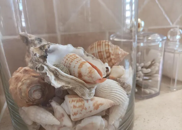 Bed and Breakfast The Roses Garden